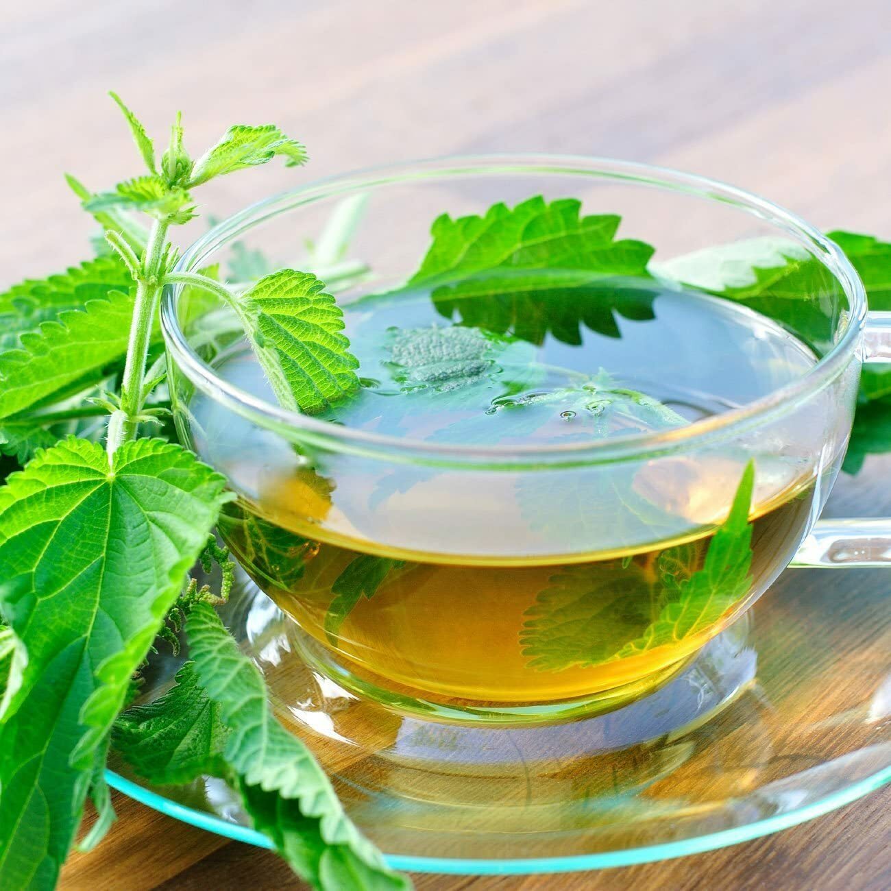 Nettle Leaf – Urtica dioica Loose Leaf C/S from 100% Nature, Wild Crafted