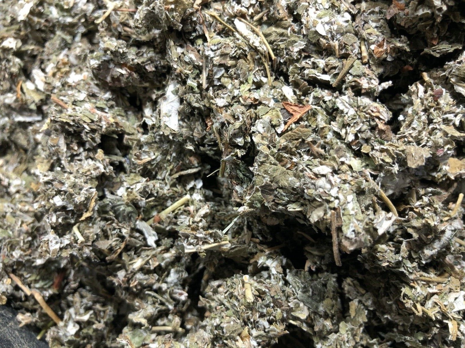 Raspberry Tea Leaf – 1/2 pounds Spice Discounters Organic Bulk Herbs Since 1990!