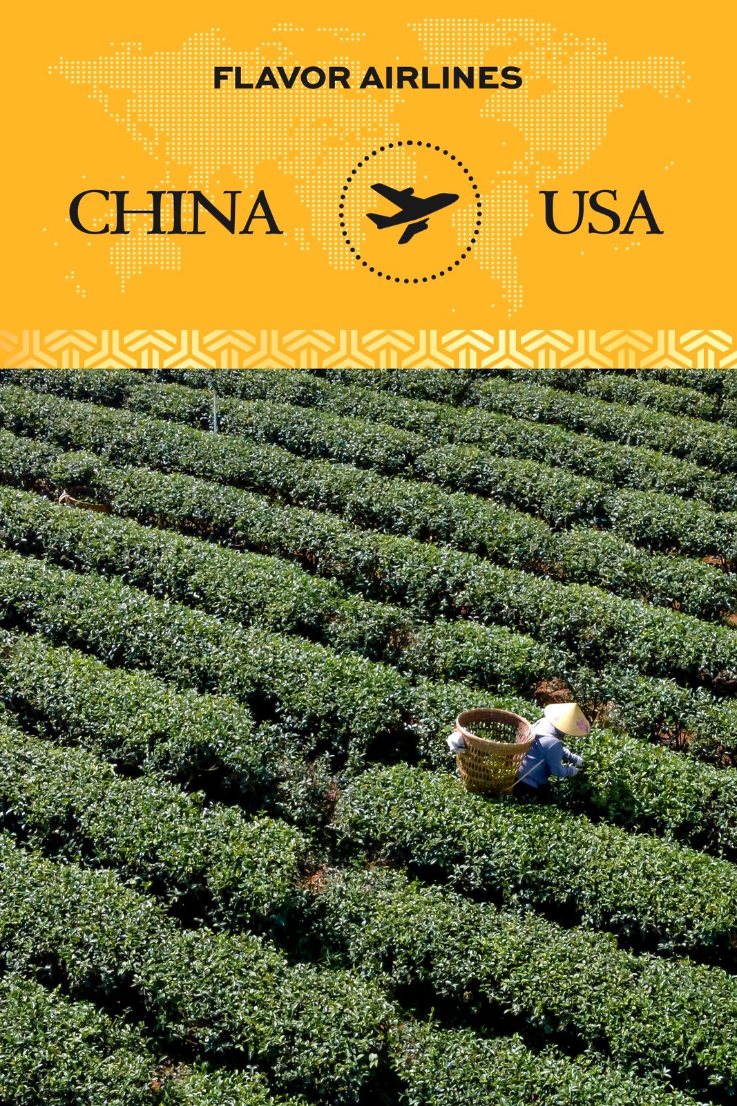 Tie Guan Yin Oolong Tea Loose Leaf, Medium Caffeinated, 16oz/456g, Premium Ch…