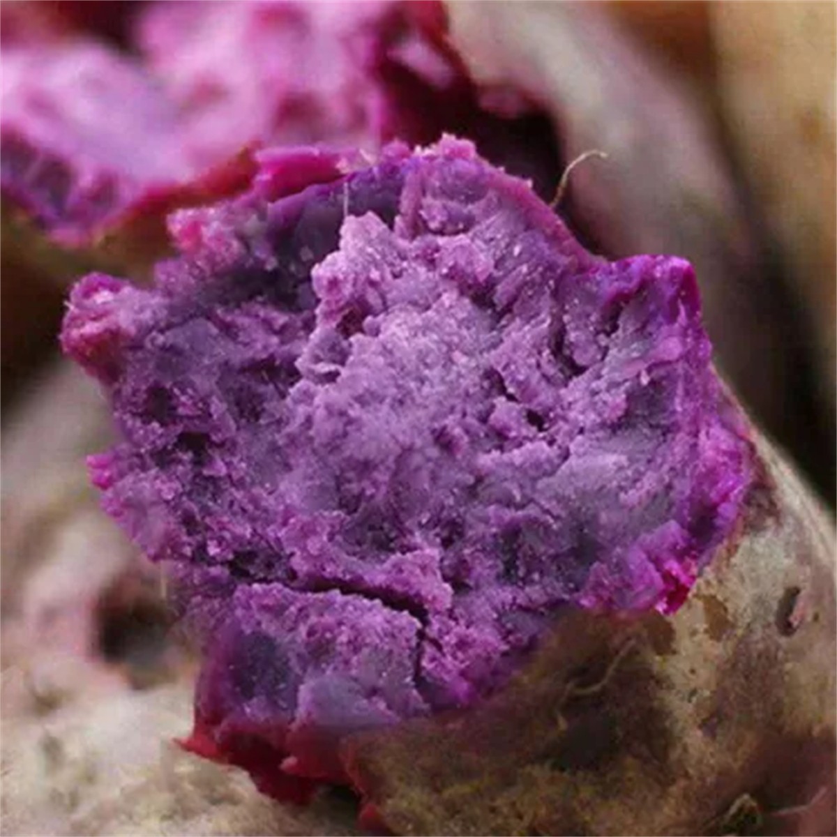 150g/bottle Natural Organic Purple Sweet Potato Powder Baking Ingredients