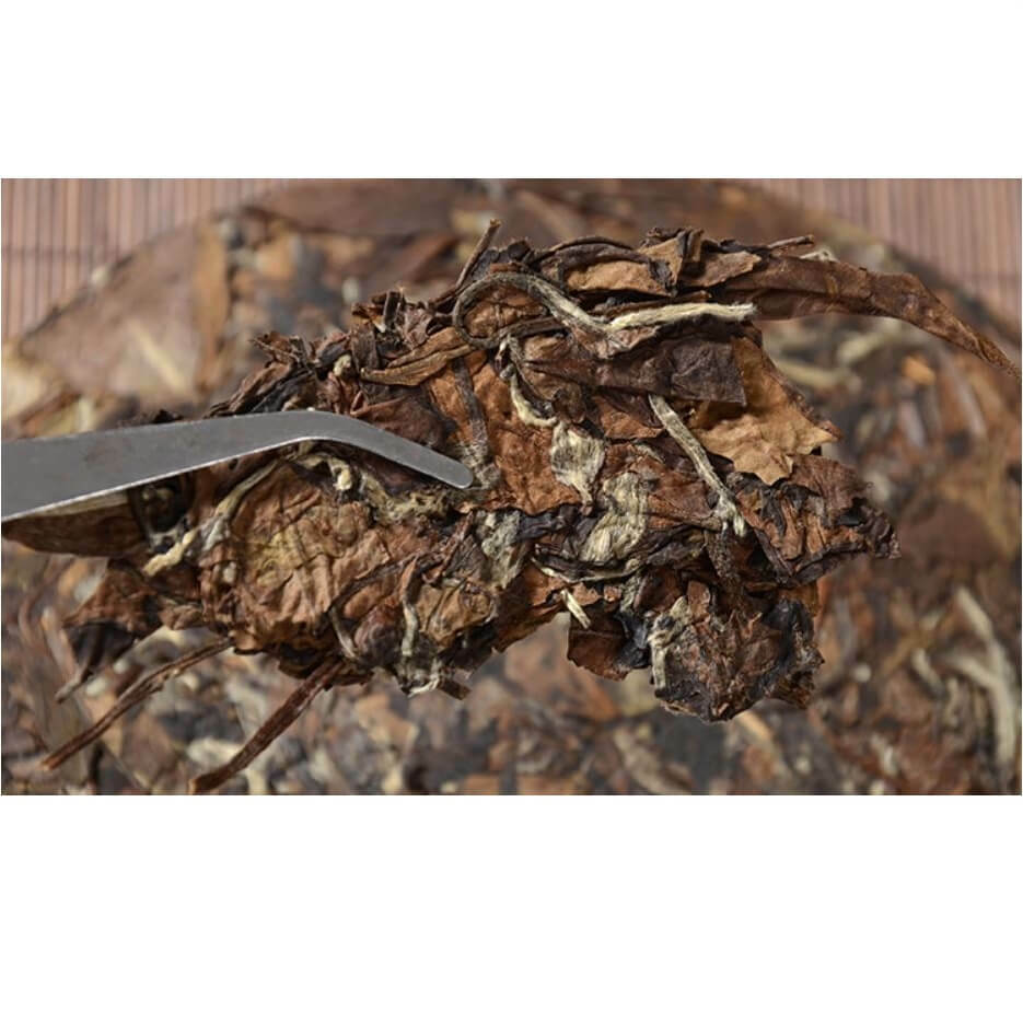 YongWell 2015 Premium Grade Shou Mei White Tea Cake 350g (12.3oz) USA Seller