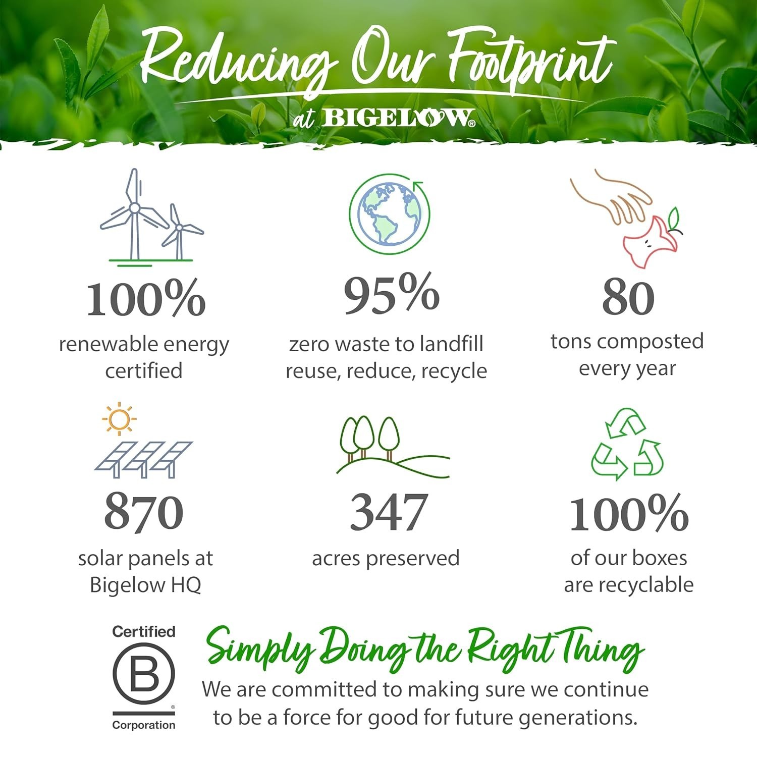 Refreshing Lemon Infused Green Tea Bags, 120 Count