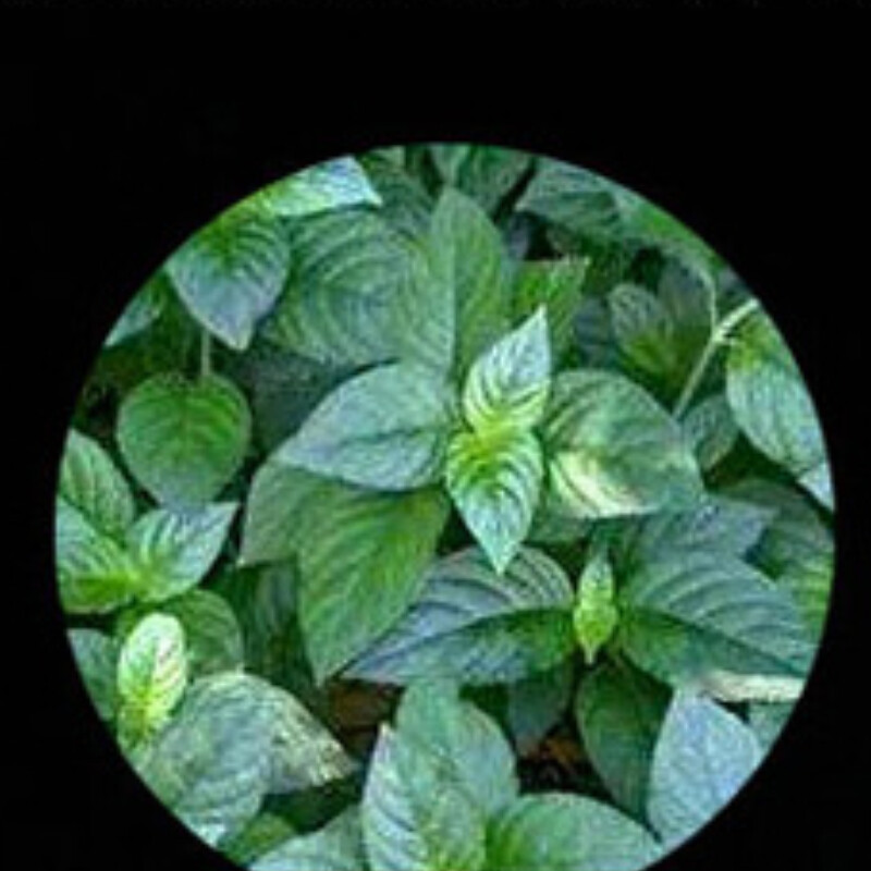 357g Aged Yunnan Puer Tea Glutinous Rice Aroma Cooked Pu’er Tea Pu-Erh Tea Cake