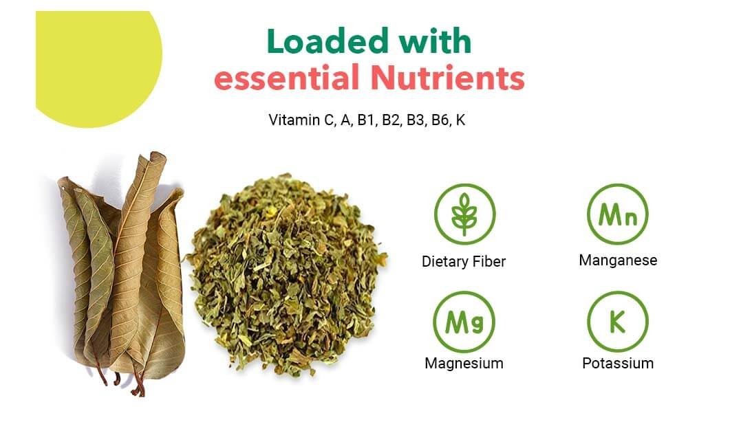Guava Leaf Tea (Crushed, Dried, 8 OZ) – Hair Re-Growth, Skin & Nails(2 Pack)