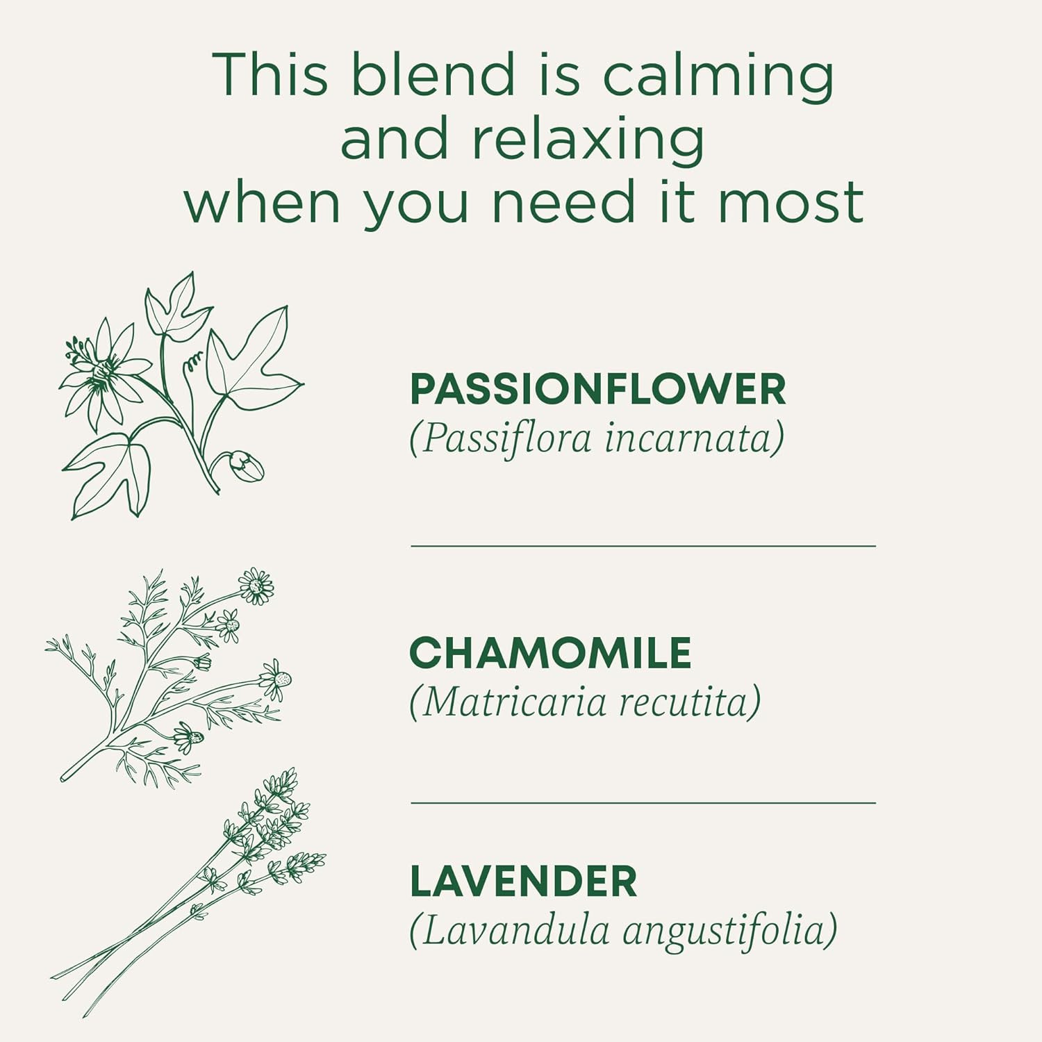 Tea, Organic Cup of Calm, Calming & Relaxing with Chamomile Mint, 16 Tea Bags