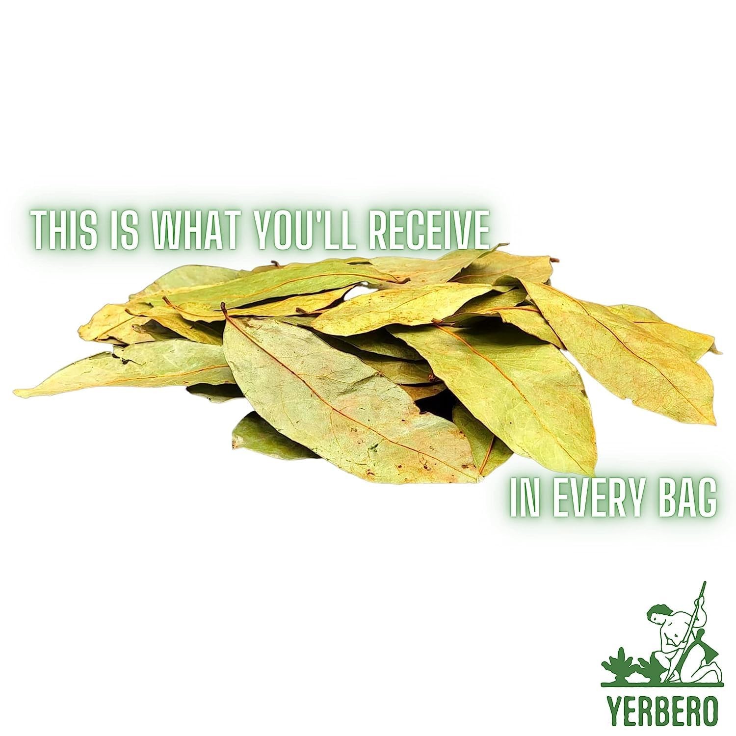 Whole Dried Graviola Soursop Leaves Herbal Tea 330+ Leaves Per Bag