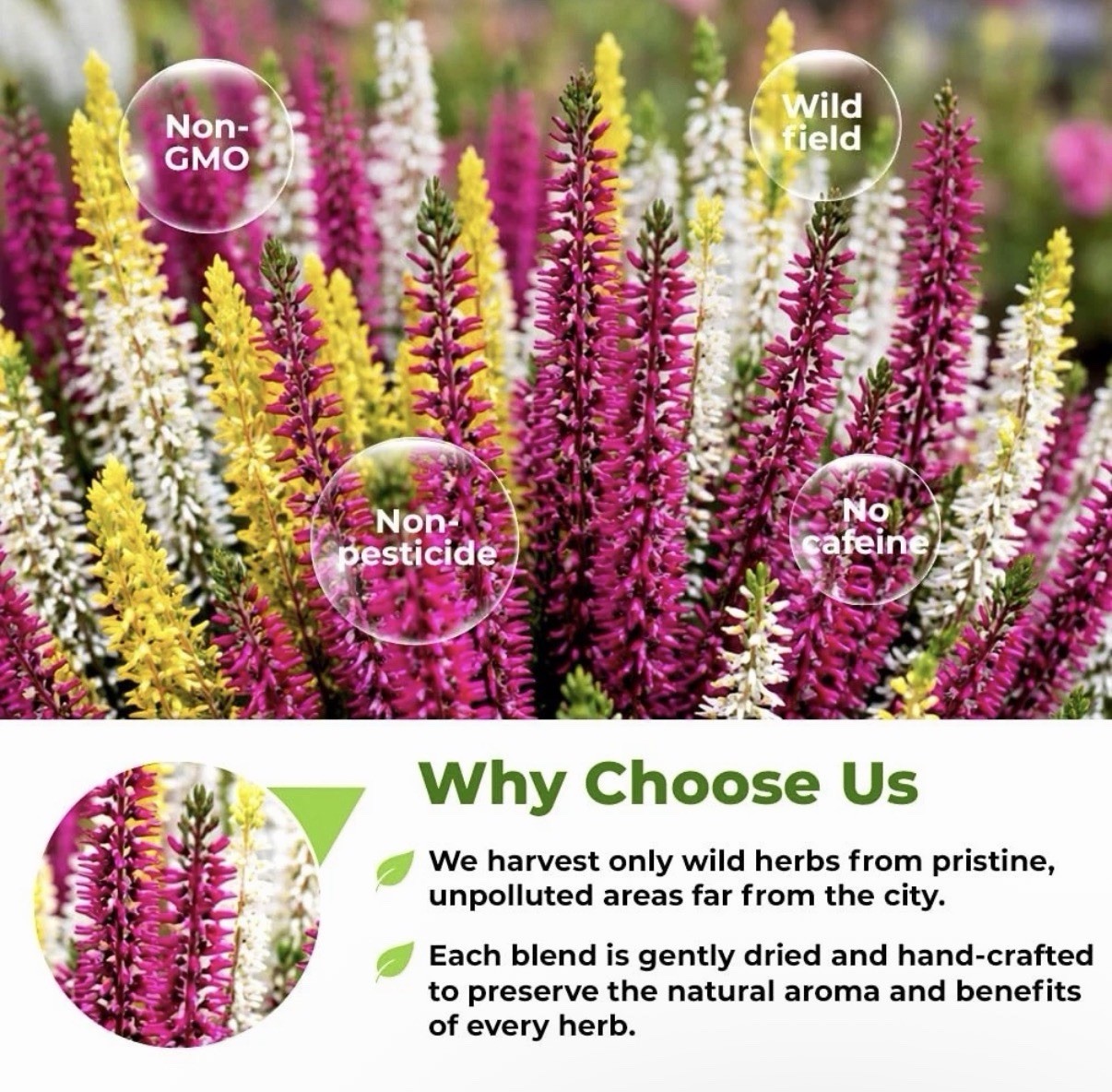 Dried Heather Flowers & Leaves Herbal Tea 4 oz Calluna vulgaris 113g