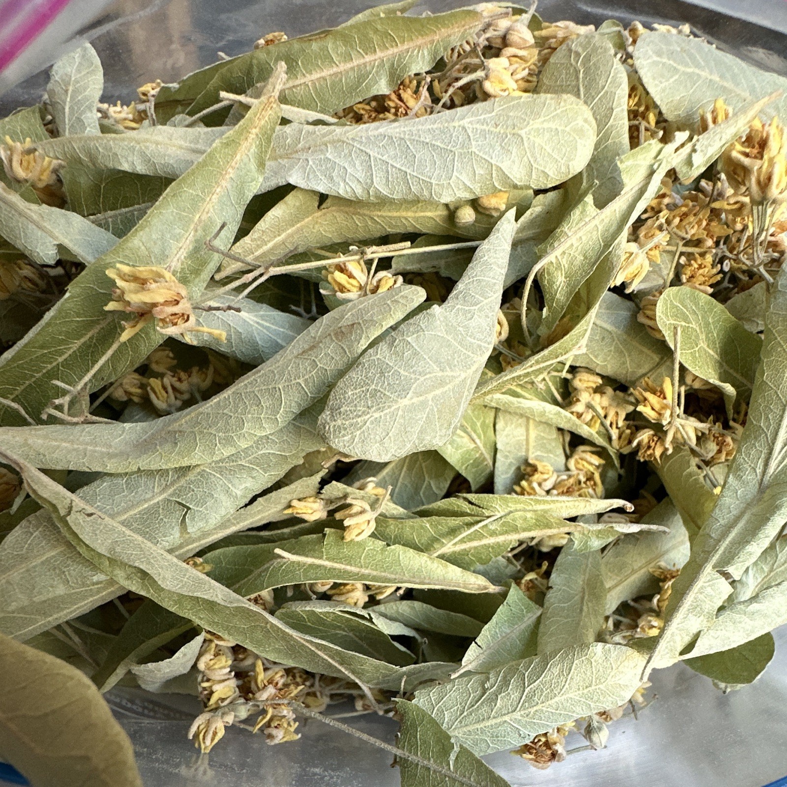 Organic linden flower 100% loose flower handpicked In 1 gallon bag