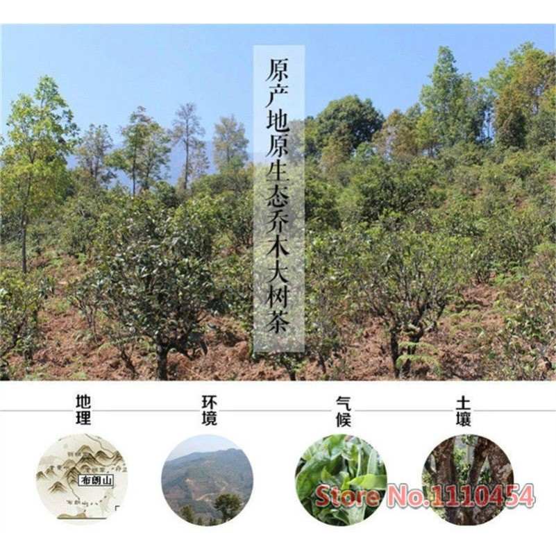Yunnan Old Pu-erh Tea Tree Puer Tea 100g Shen Pu’er Tea Cake cha Puerh Tea Cakes