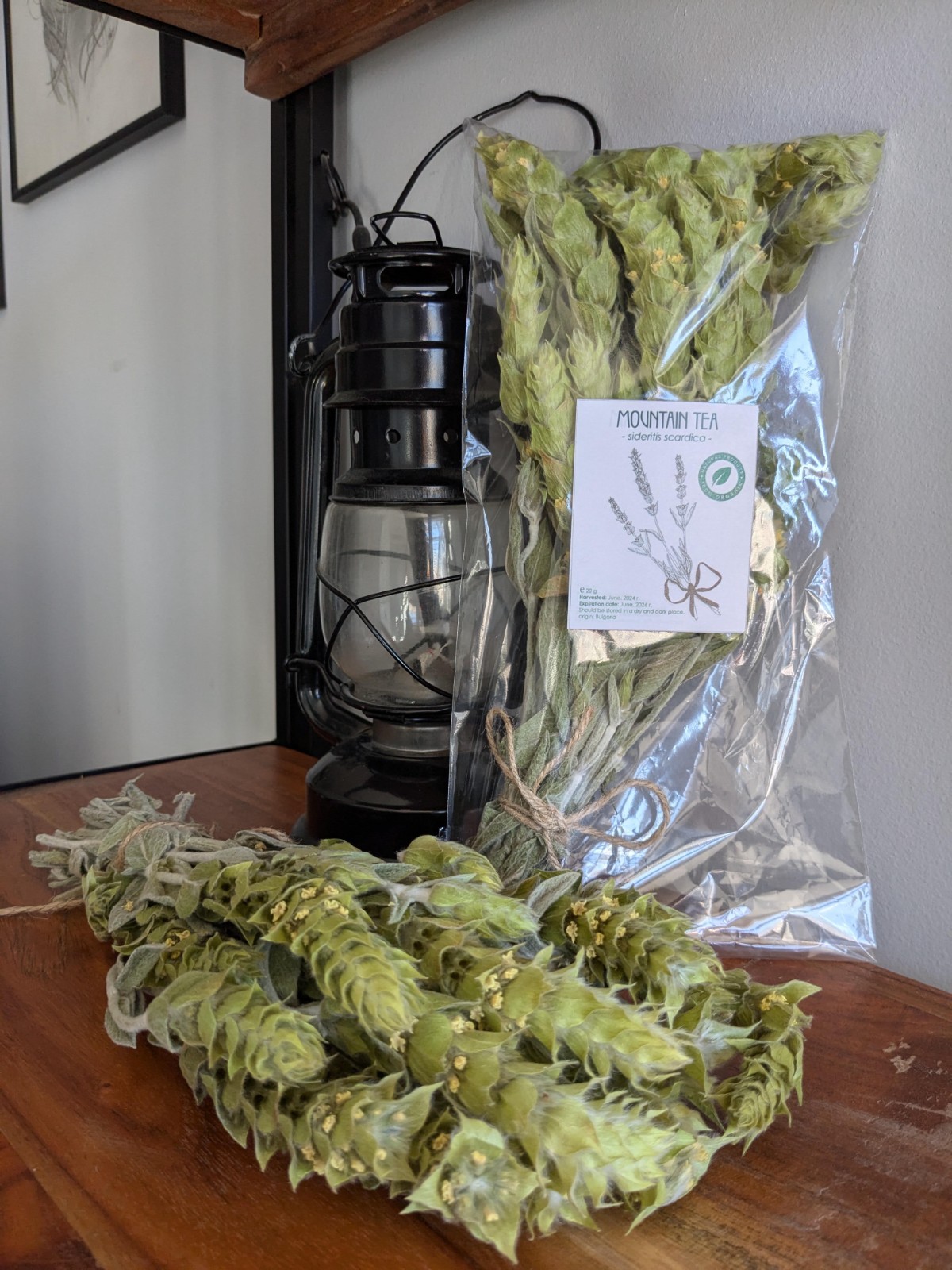 Mountain Tea |Bulgarian Mountain Tea | Herbs | Ironwort Tea | Sideritis scardica