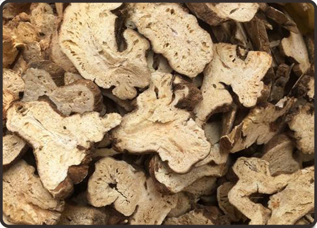 Bai Zhu, 无硫白术 / White Atractylodes 4 -16oz