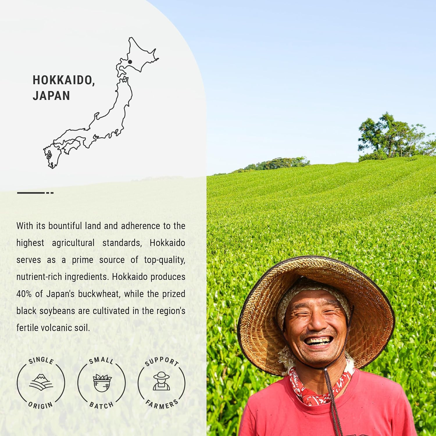 Premium Genmaicha – Caffeine-Free Japanese Mochi Rice Tea – from Hokkaido, Japan