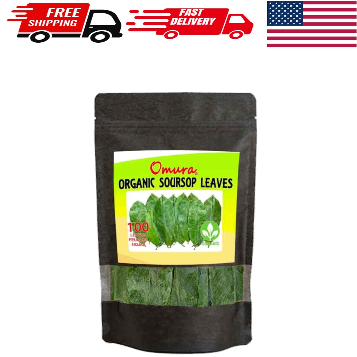 Tea Collection: 100 Soursop Leaves – Rich in Antioxidants for Healthy Living