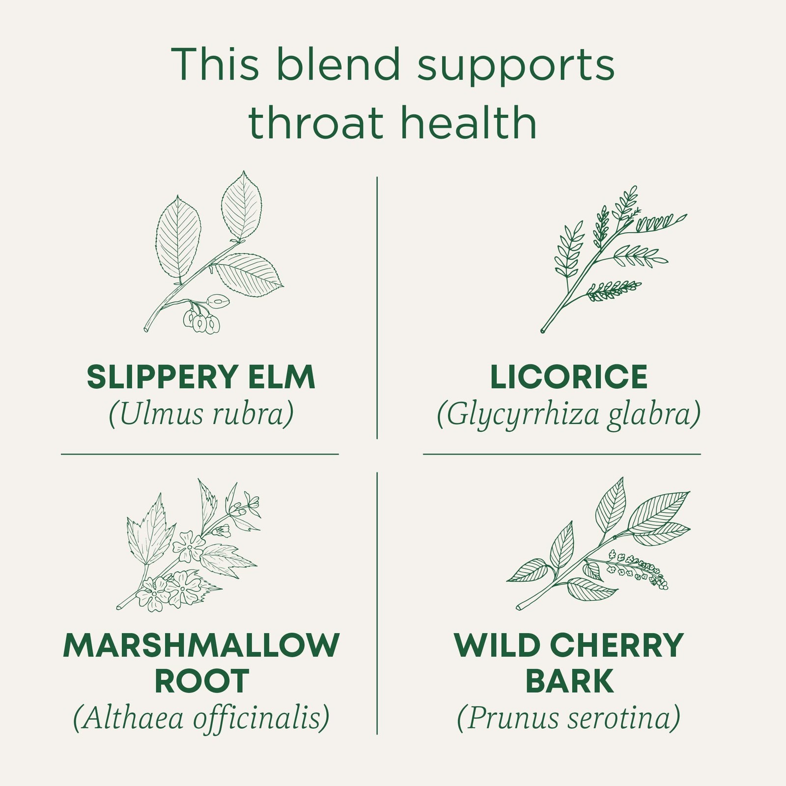 Traditional Medicinals Tea, Organic Throat Coat, 96 Count (Pack of 6)