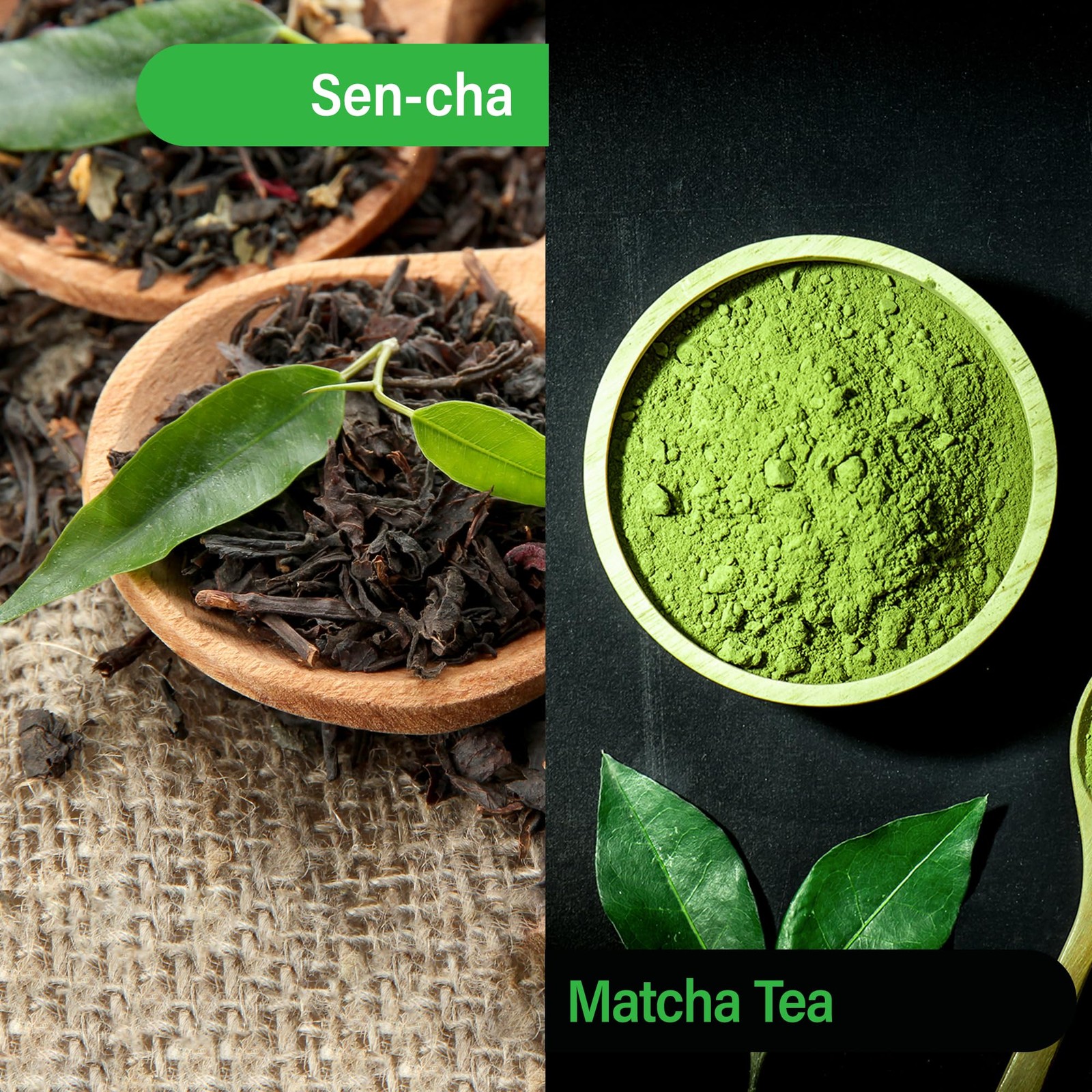 Sen-cha with Matcha Green 100 Tea Bags Powder Japanese Origin Green Tea Leave…