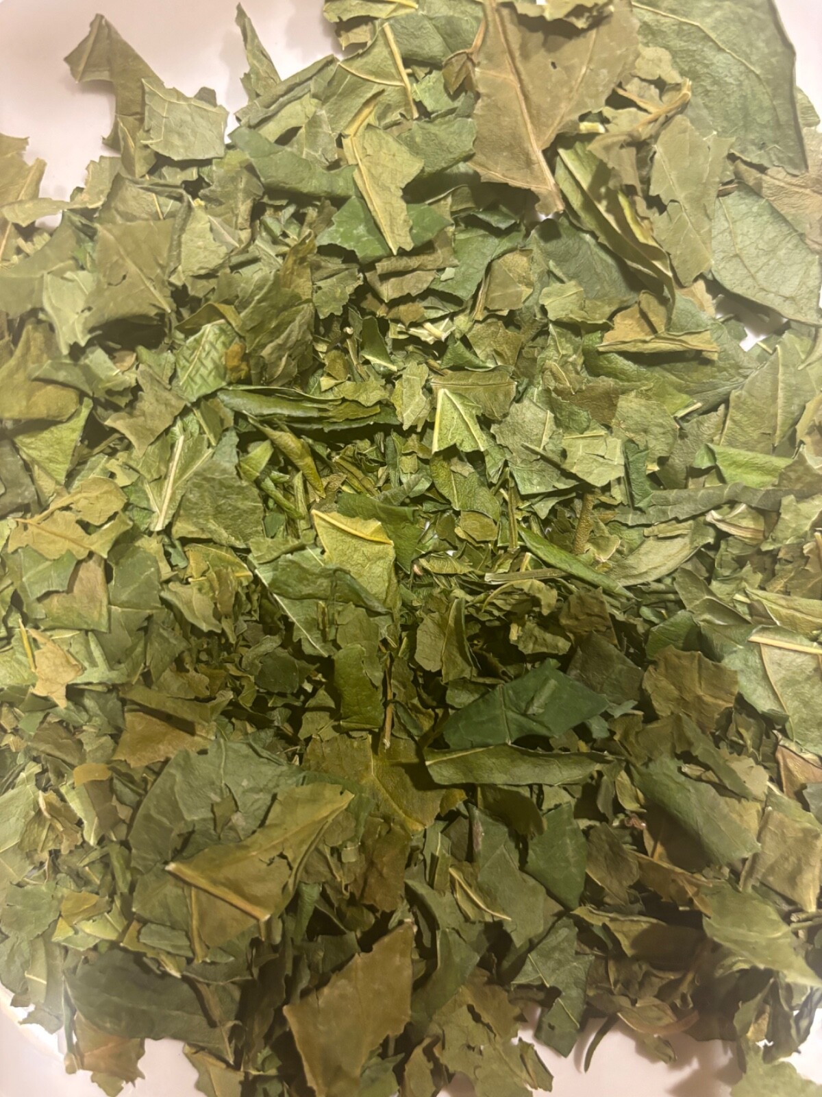 Gymnema Leaf Herb Tea Gymnema Sylvestris Herbal Remedy – 2 oz bag