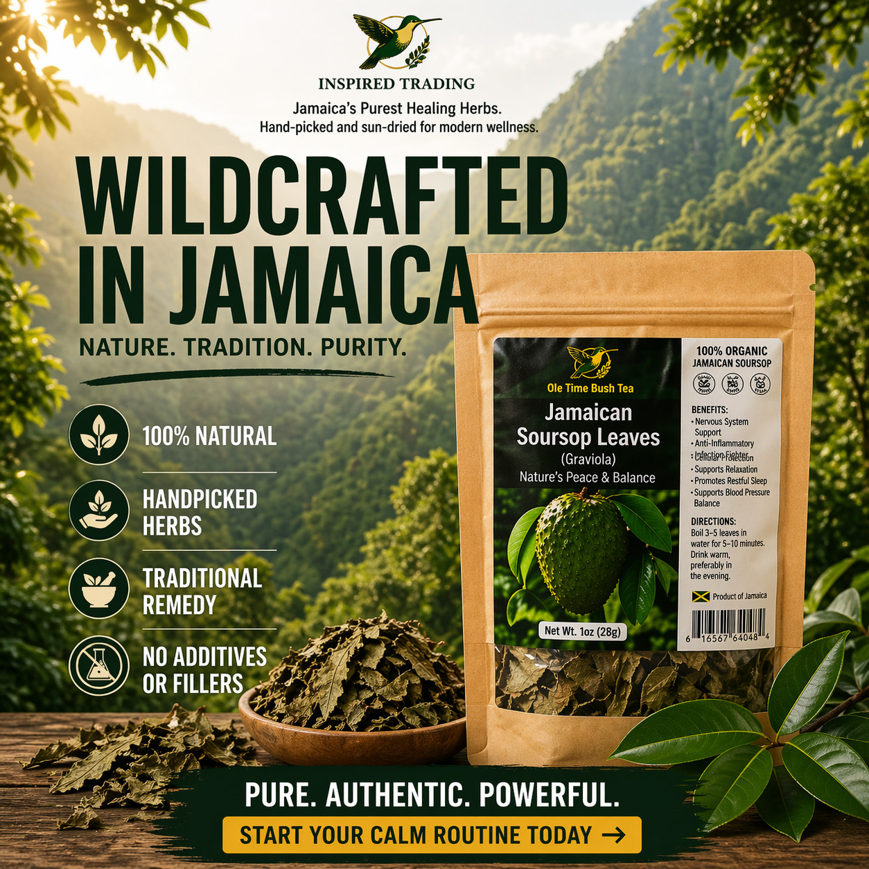 Authentic Jamaican Soursop Leaf-Jamaican Bush Tea • Available in US & Canada