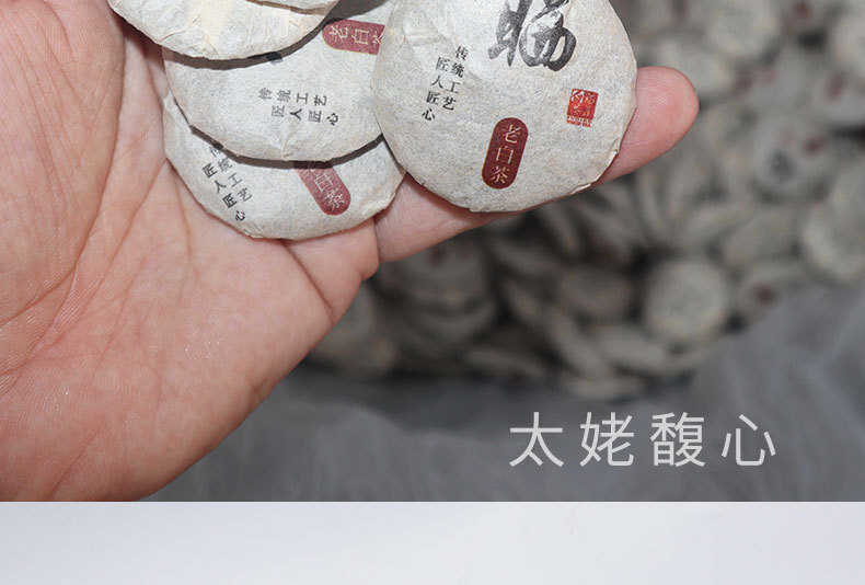 White Tea Premium Natural Healthy Fuding Shoumei Gold Coin Mini Cake 500g