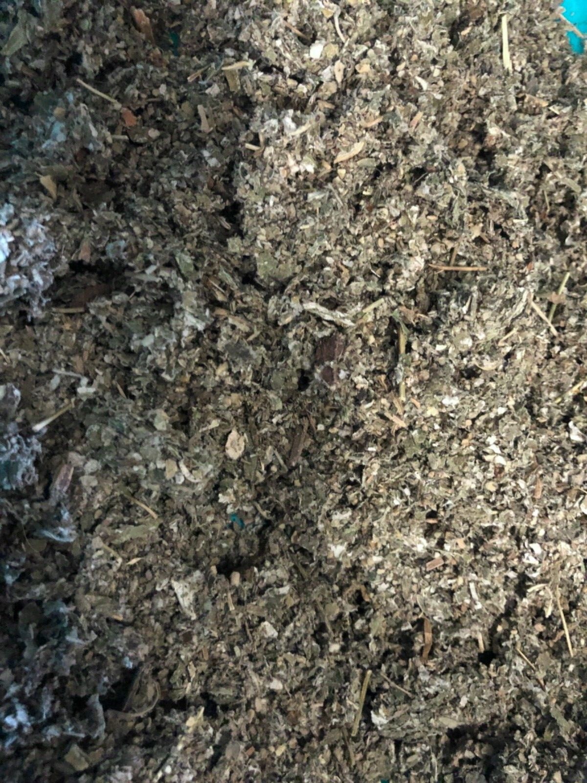 MULLEIN + RASPBERRY smokin-hot deal herb blend organic leaf tea mix -ounce POUND