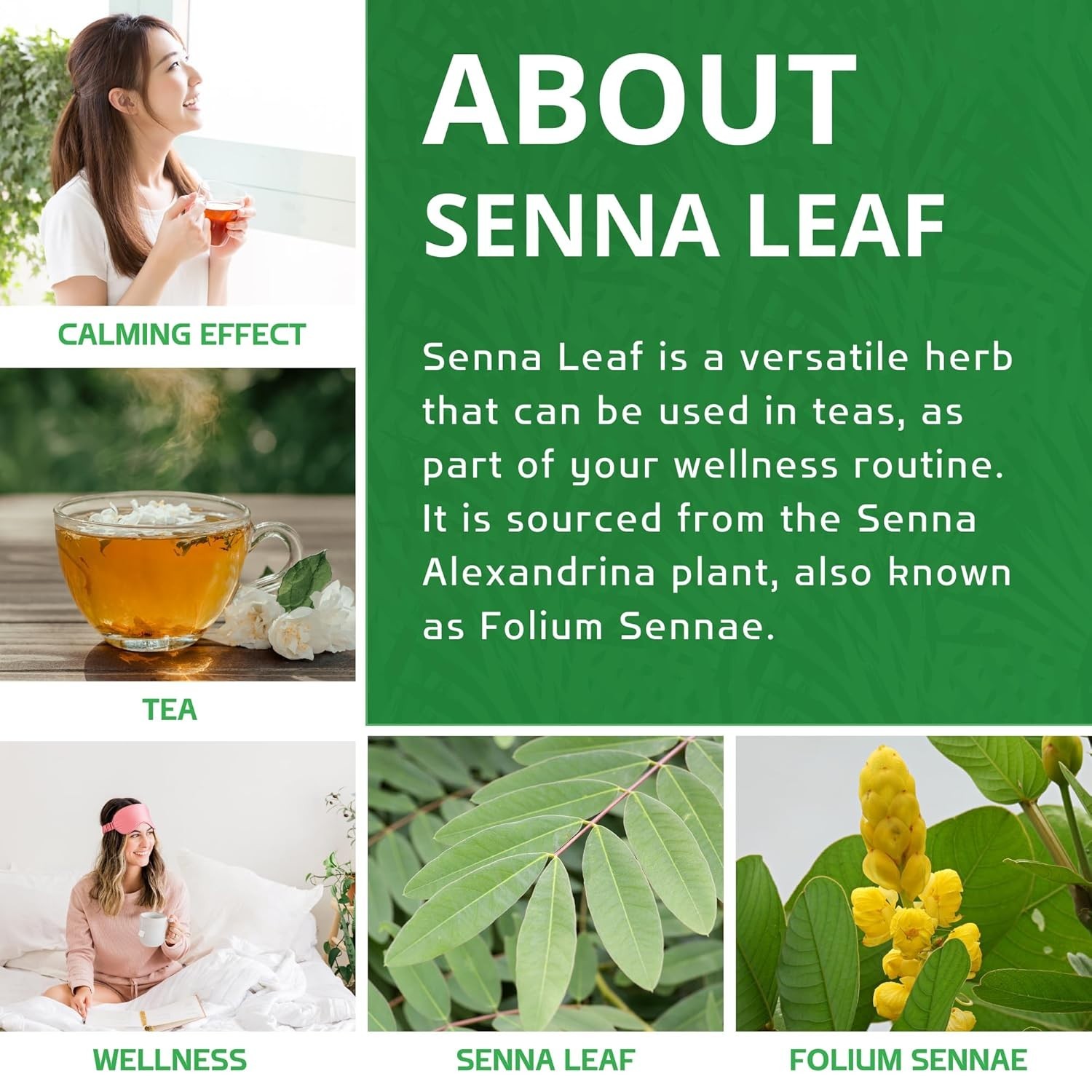 Organic Senna Leaf Tea – 8 Ounce, Caffeine Free Digestive Support – Honey Flavor