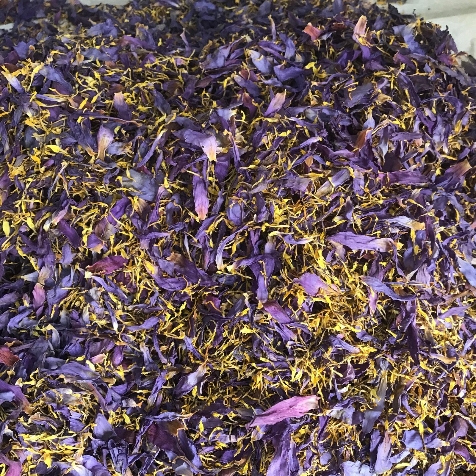Dried Blue Lotus 50g |Petal & Stamen| Hand Pick Flowers Organic High Quality Tea