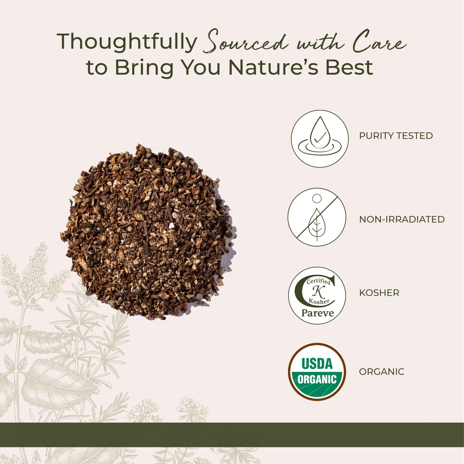 Starwest Botanicals Organic Raw Dandelion Root – Loose 4 Ounce (Pack of 1)