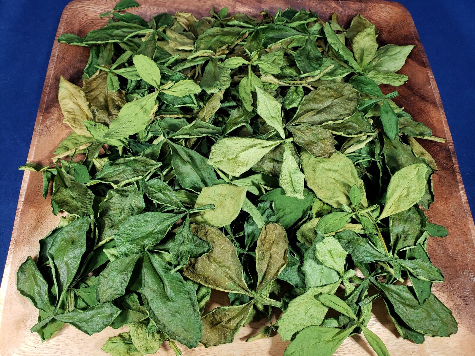 Orange Green Leaves Dried Tea Purple Tangerine Flowers Leaf XinHui Peel Canna