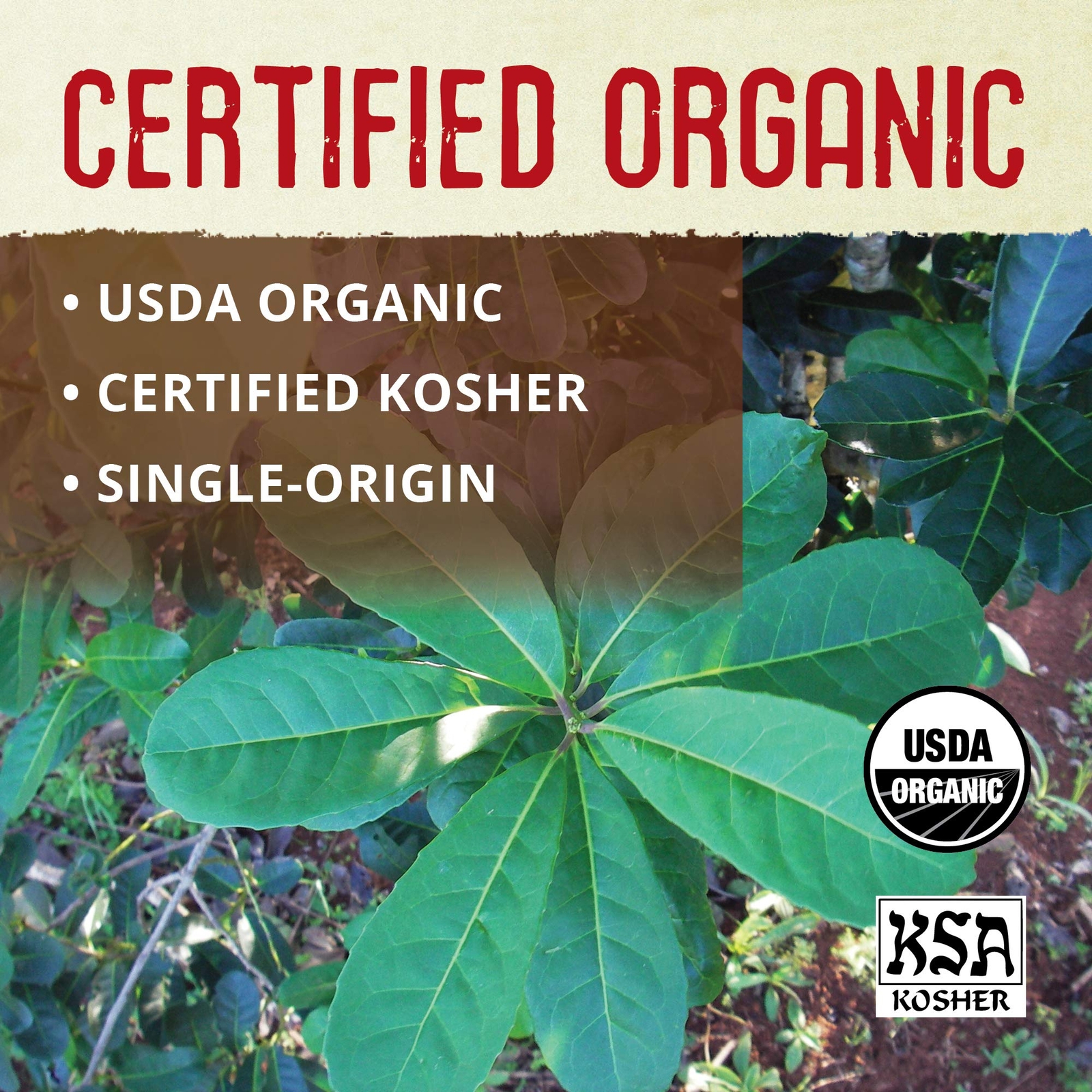 – Organic Unsmoked Yerba Mate Tea Pure Loose Leaf 1Lb Detox Hi Caf Energy