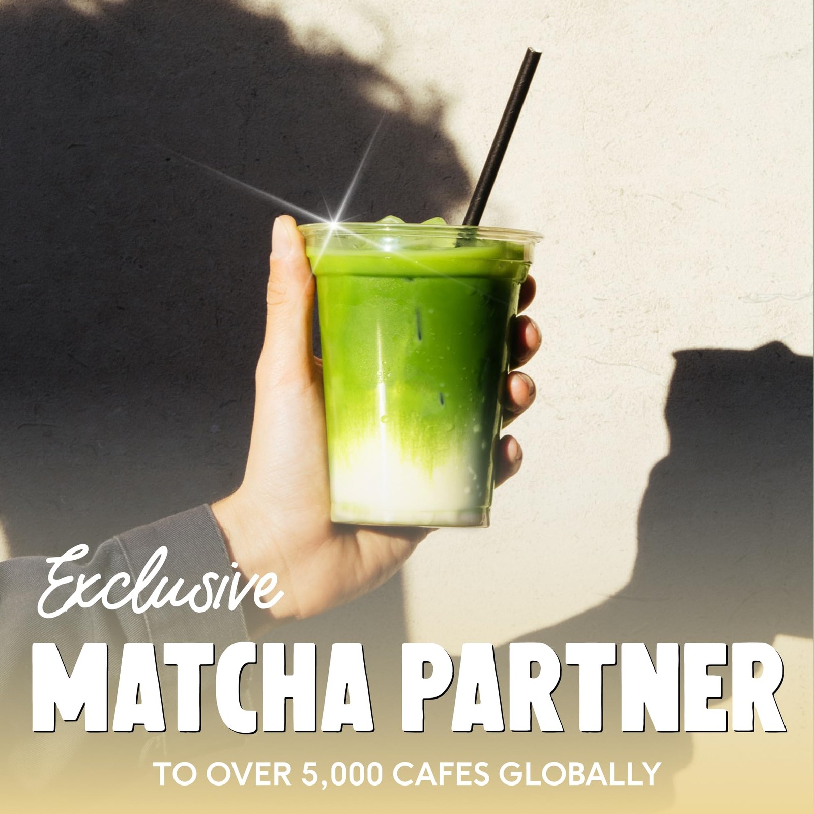 Perfect Ted Matcha Powder | Vanilla Bean Flavor 75g |
