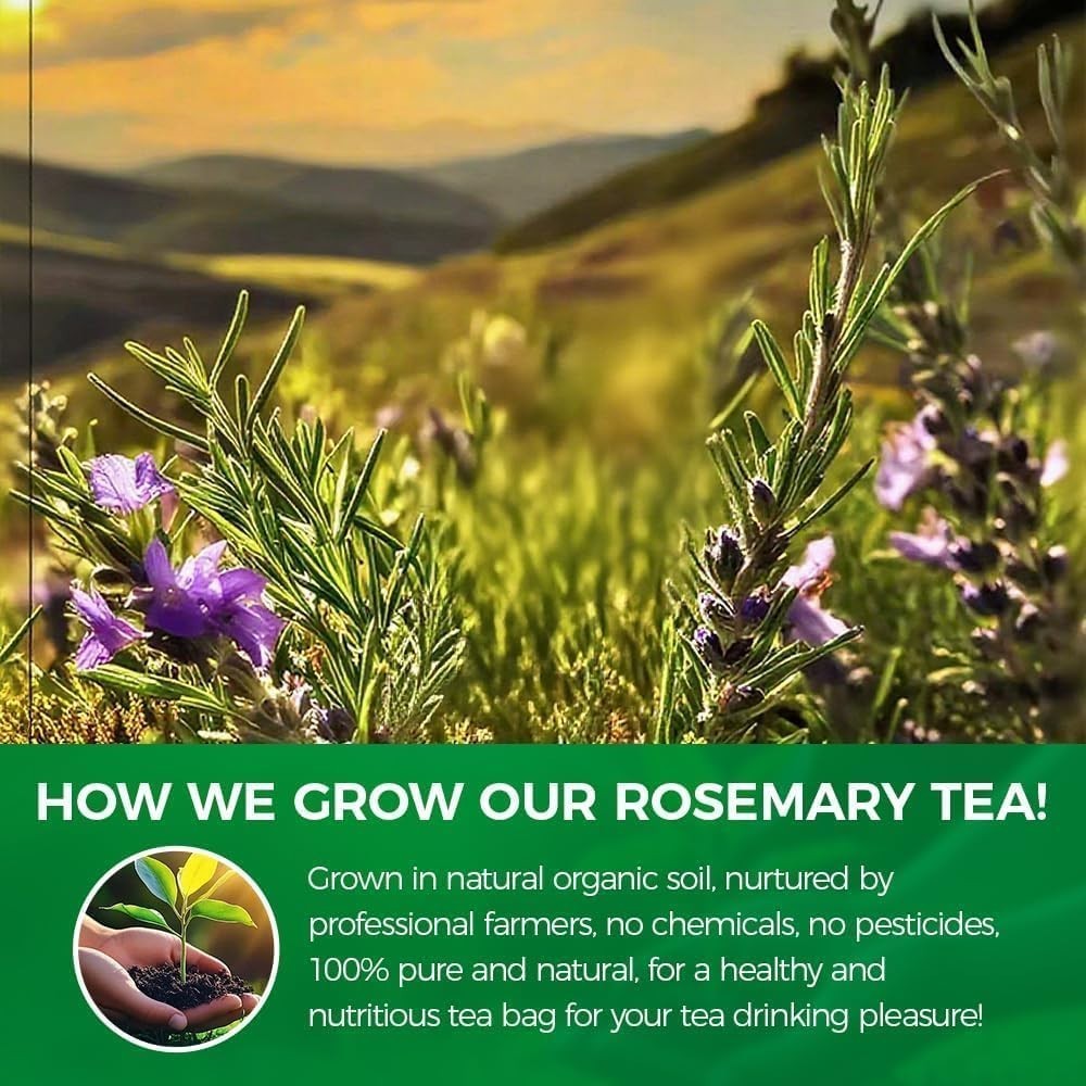 60 Count Premium Rosemary Leaf Tea Bags – 100% Pure Natural Rosemary Leaves
