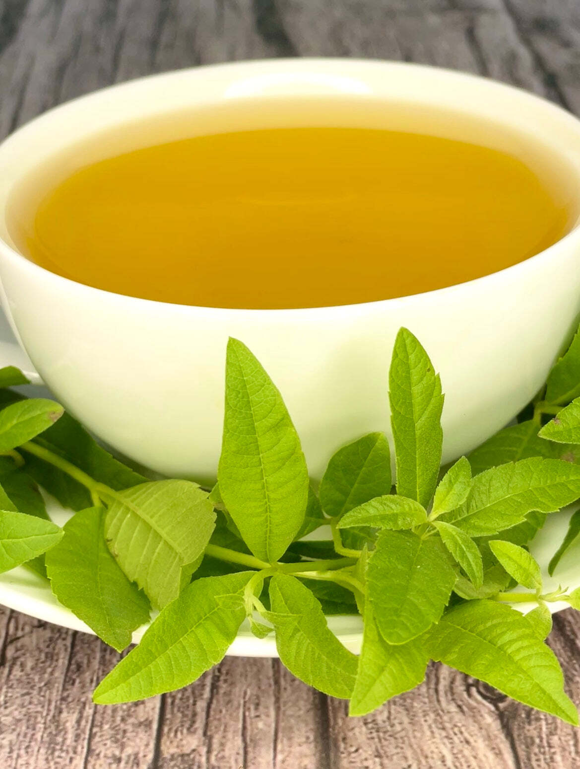 Lemon Verbena Tea by Palm Beach Herbals | 30ct, Caffeine-Free
