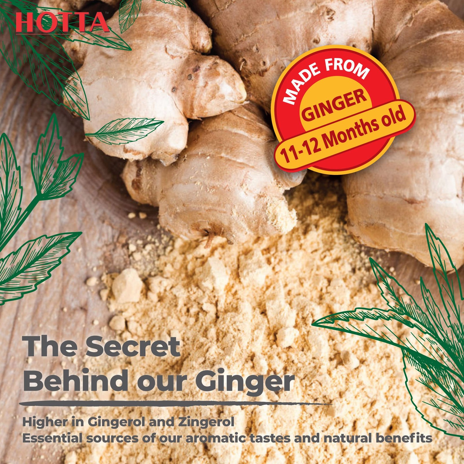 Instant 100% Ginger Drink Powder, No Sugar, Bold & Spicy, Caffeine-Free Herbal T