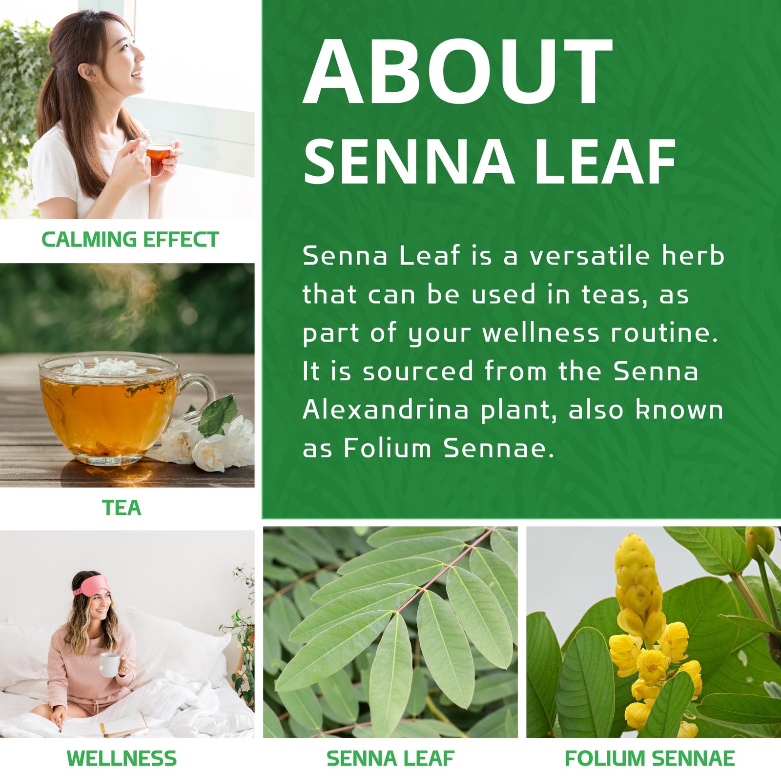Organic Senna Leaf 8 Ounce Bulk Bag Cut & Sifted Tea NonGMO Senna Alexandr…