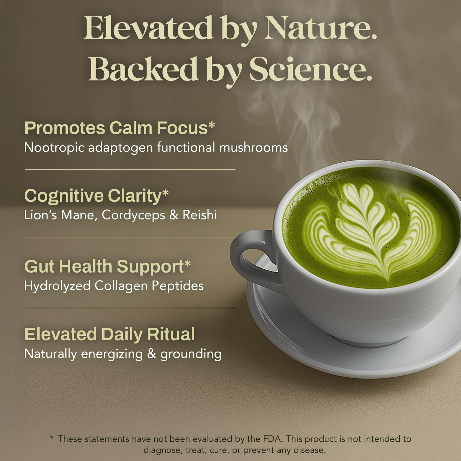 Mushroom Matcha Powder – Sugar-Free Japanese Ceremonial Green Tea with Superf…