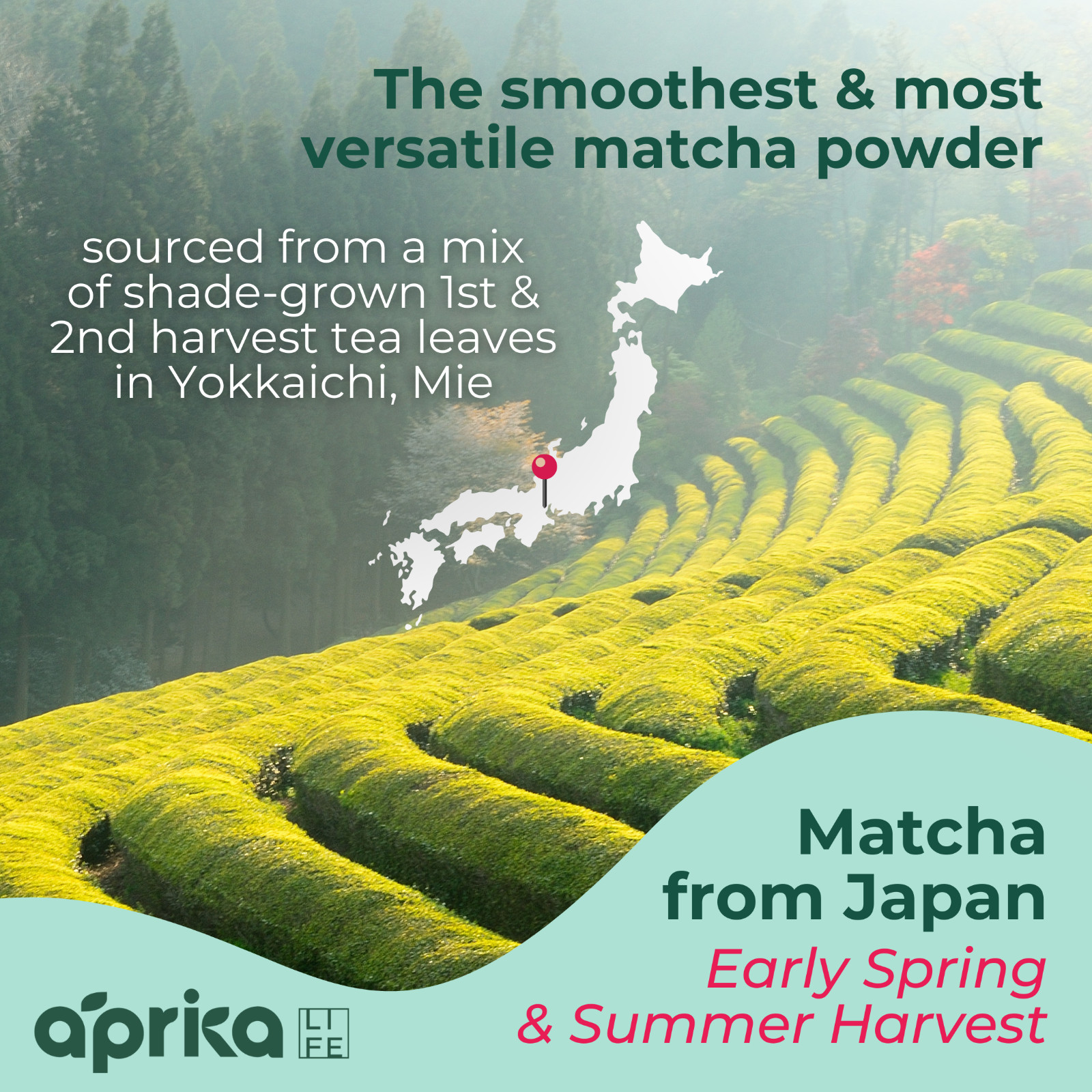 Premium Culinary Grade Organic Japanese Matcha Green Tea Powder Unsweetened