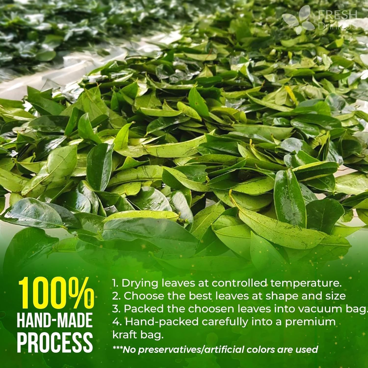 Natural Soursop Tea – 240 Hand-Harvested Graviola Leaves in Kraft Packaging
