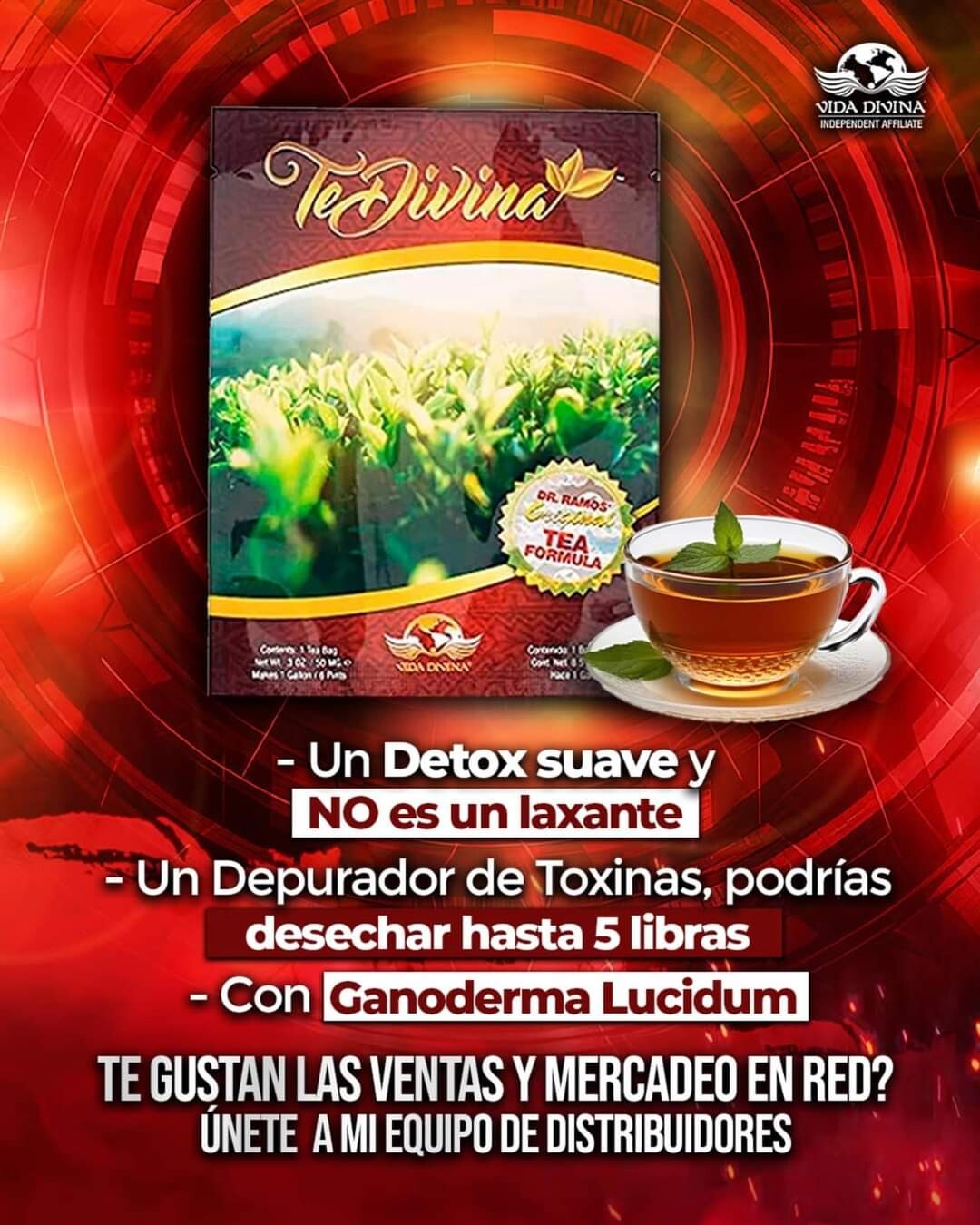 Organic Detox Tea Te Divina Vida Divina (Reishi Infused) One Week Supply