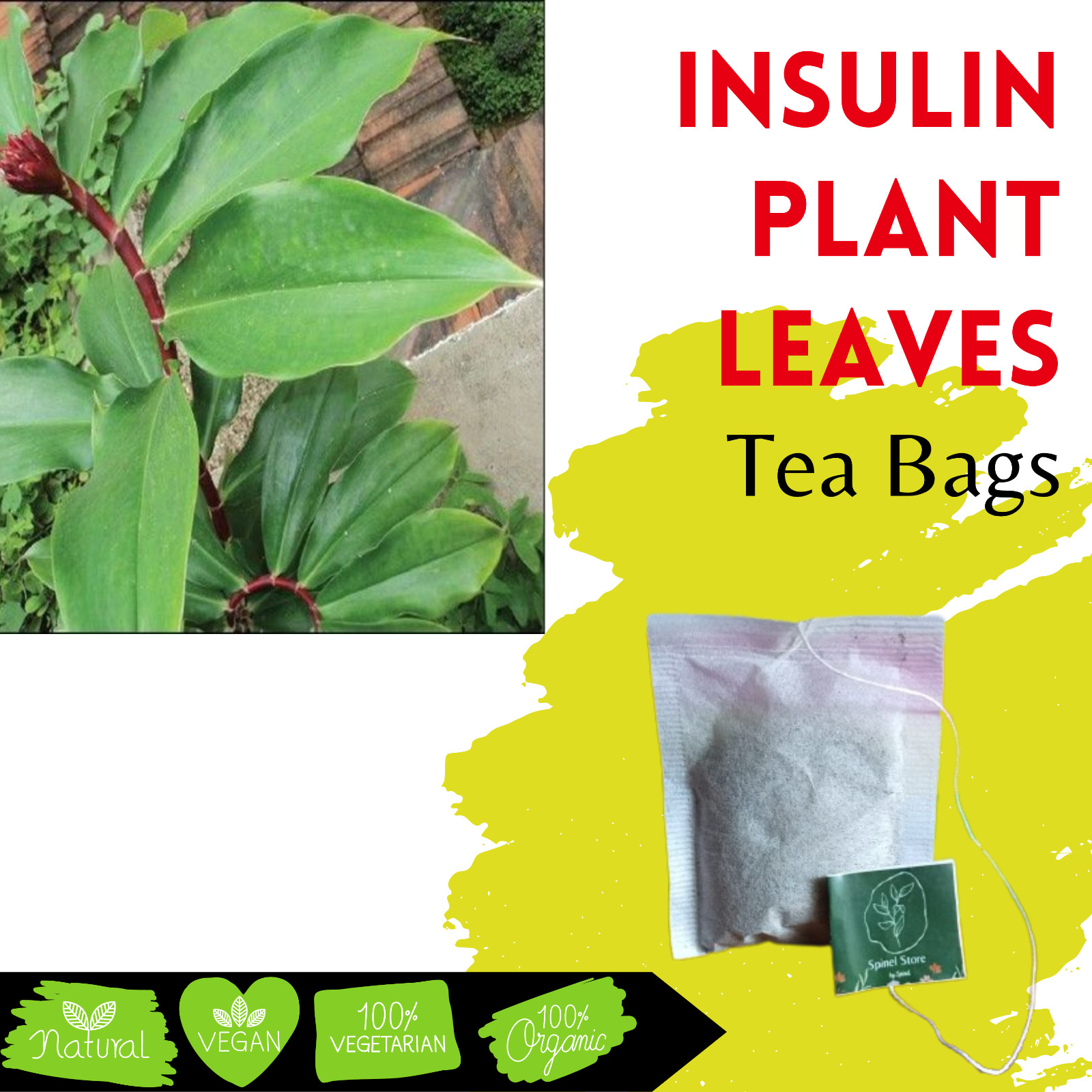 Organic Insulin Plant(Costus Igneus) Leaves Tea Bag Dried Diabetic Herbal Tea