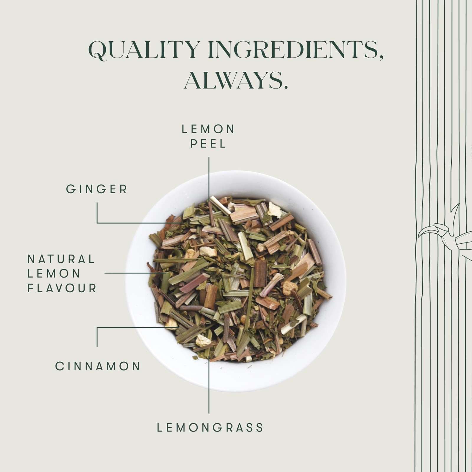 Estates Lemon Ginger Root | Certified Organic Herbal Tea | Citrus Flavor & Ar…