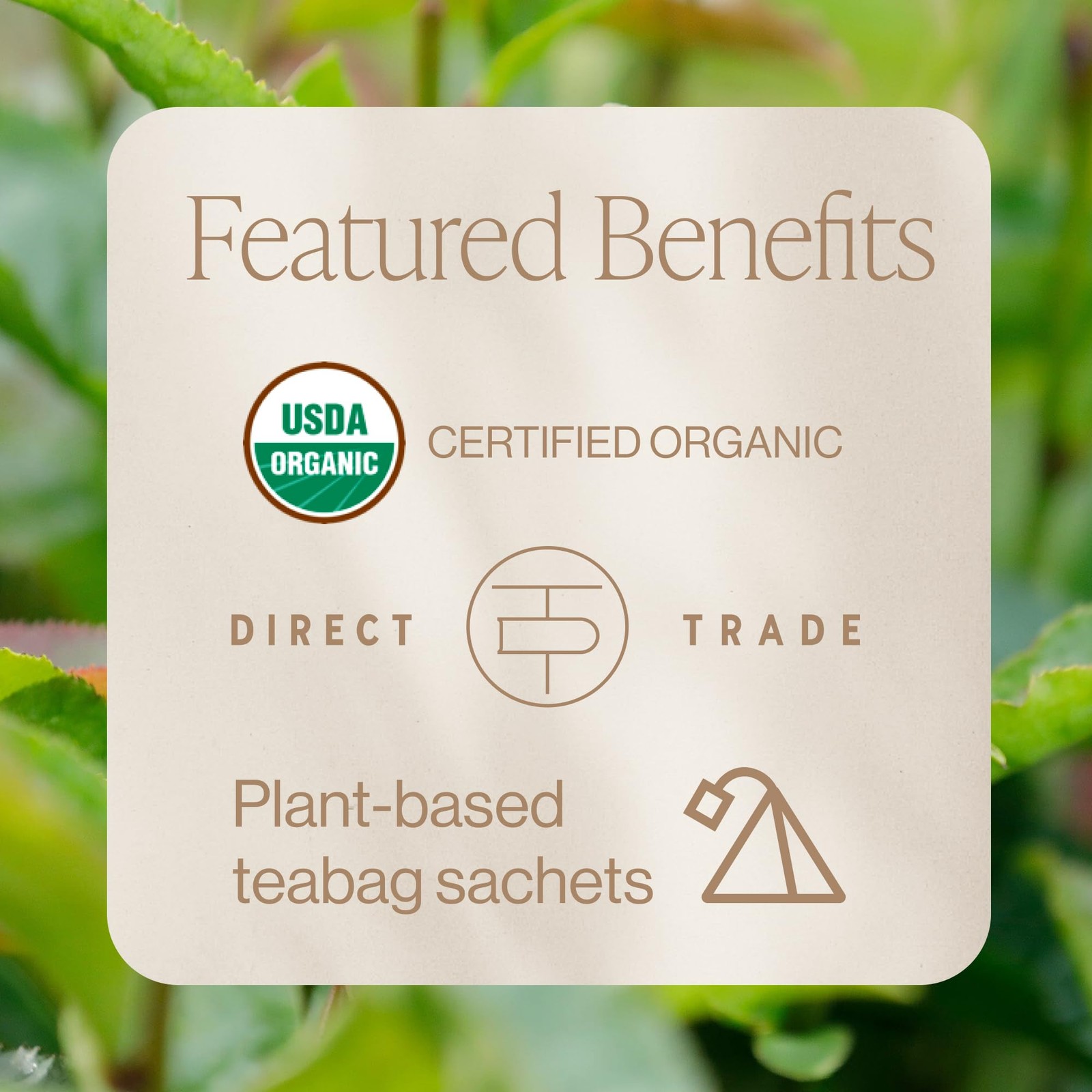 Ritual Green Tea – Organic Sachet Bags, Pure Green Tea, Energizing & Caffeina…