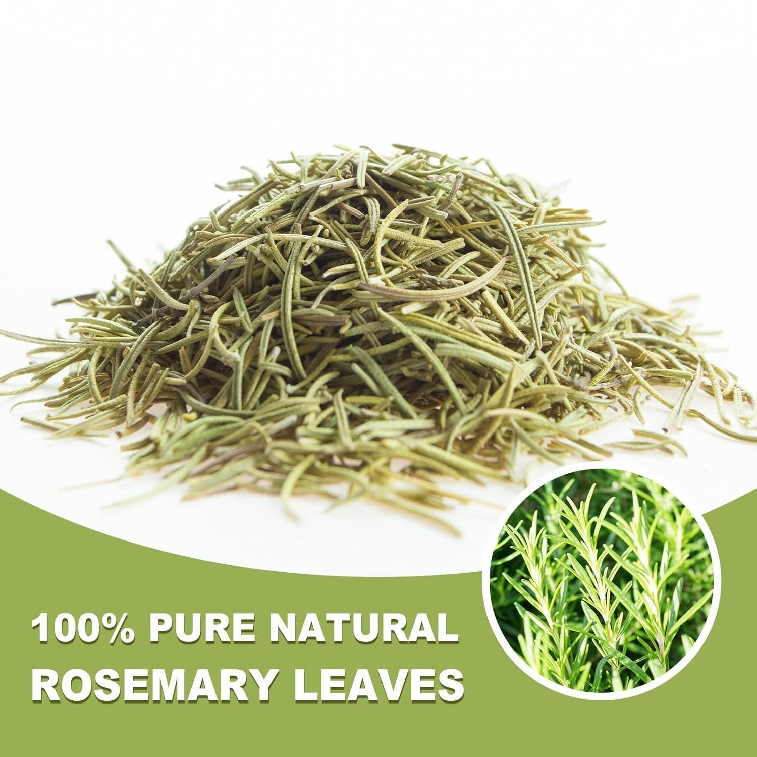 Rosemary Tea – 1.5g x 50 Count Bags – Boost Immune & Digestive Health