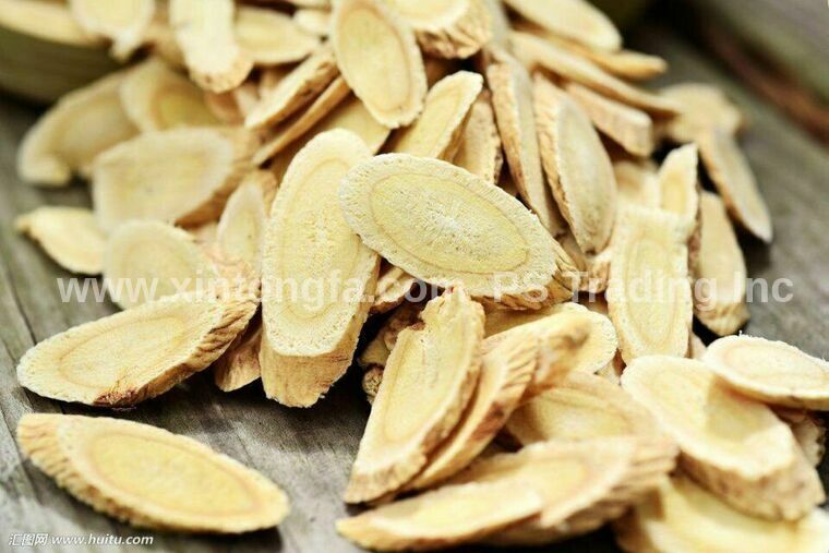 Astragalus Root Slices Medium-Large – 北芪 黃芪 中大圓片 Huang Qi Bei Qi – USA Free Ship