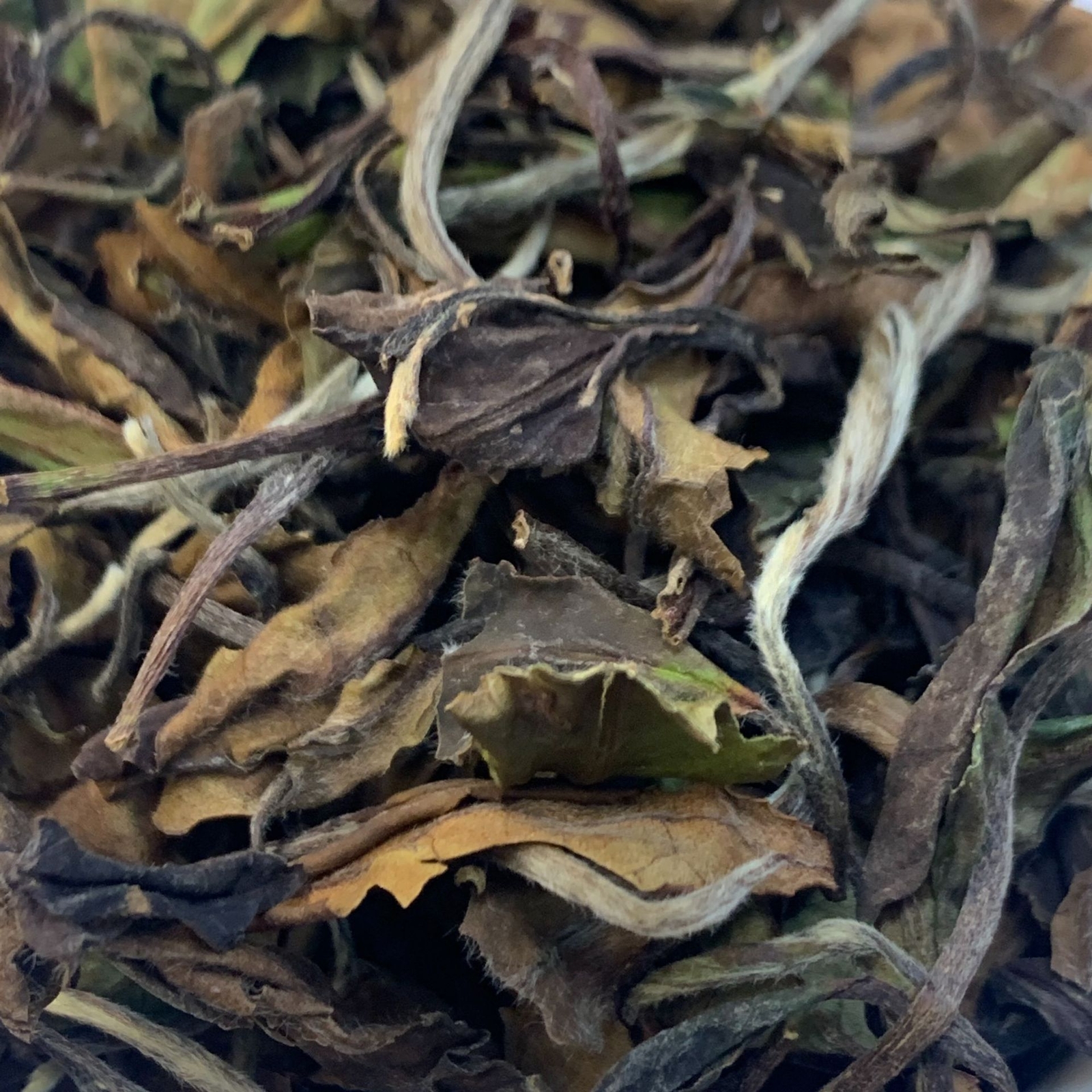 White Peony Tea 500g Premium Fuding White Tea Aged 2012 Jujube Aroma Tea