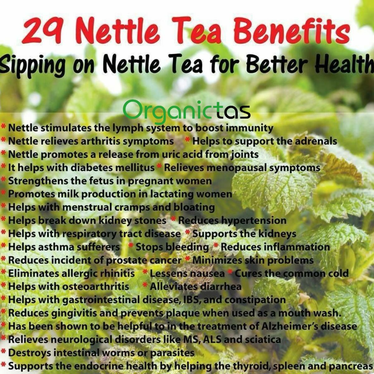 Organic NETTLE LEAF Herbal Tea Dried Cut Urtica Dioica 100g Premium Quality BIO