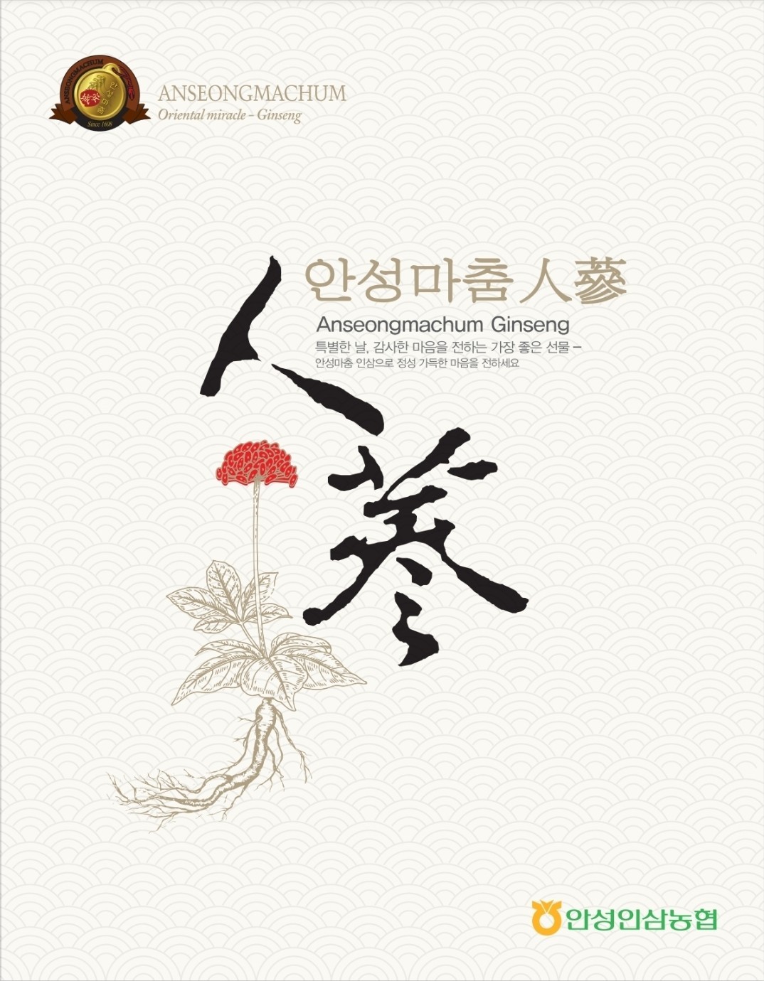 [An Seong Nonghyup] Korean 6 Years Red Ginseng Slices 20g × 10