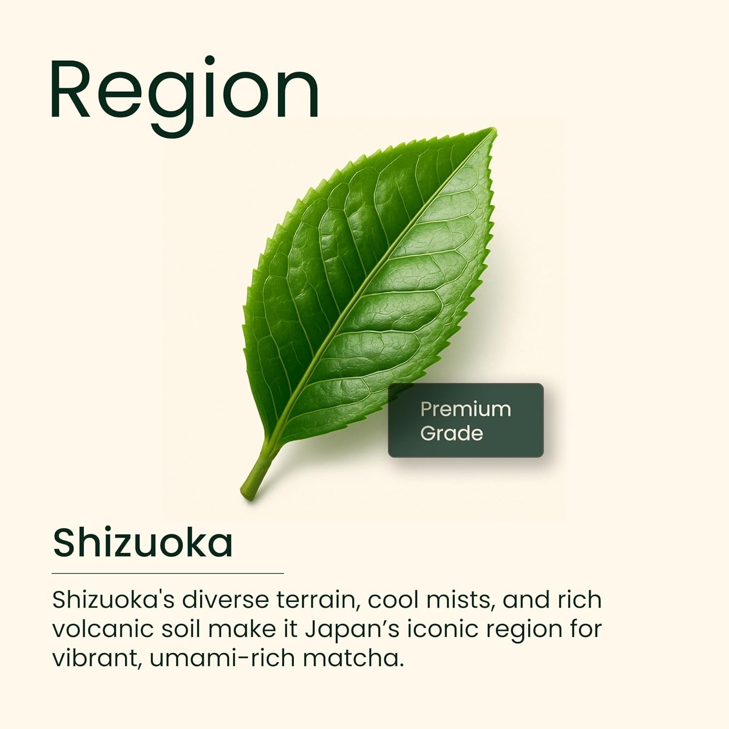 Heapwell Premium Japanese Matcha Green Tea Powder (50g) Culinary Grade – 30 sev