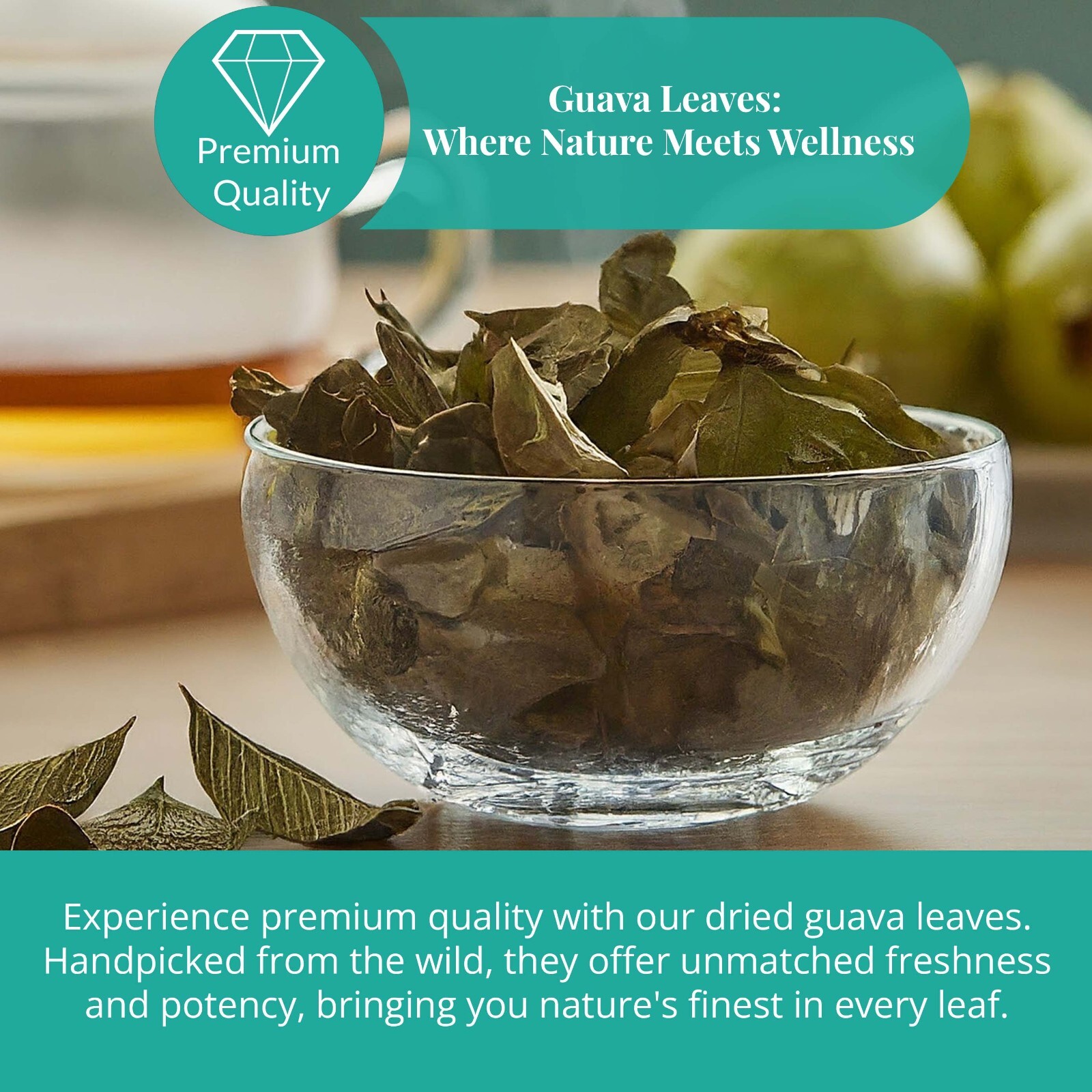 100% Pure Dried Guava Leaves, Hojas de Guayaba Organic, Guava Herbal Tea, 2.60z