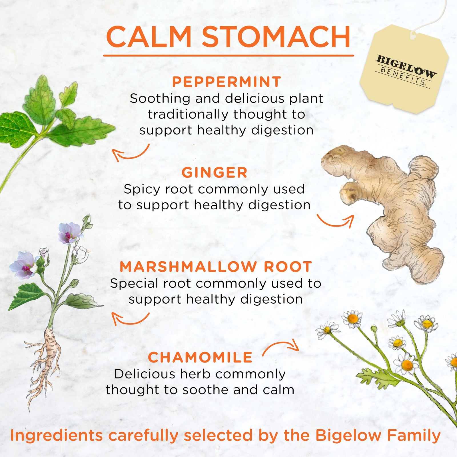 Bigelow Tea Ginger & Peach, 18 ct 18 Count (Pack of 1)