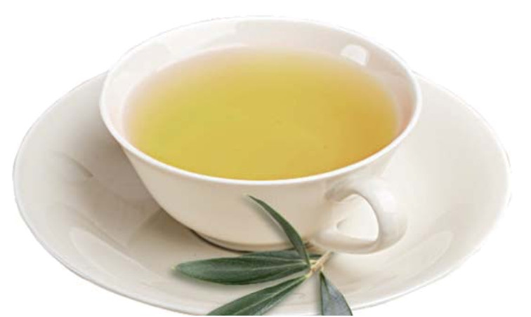 Olive Leaf – Olea europaea Loose Leaf from 100% Nature, Greece Import,