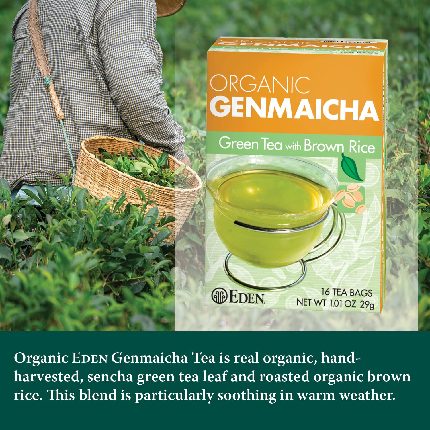 Organic Genmaicha Green Tea with Roasted Brown Rice, 16 Bags, 12-Pack